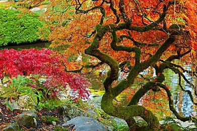 20周年纪念版要来 《超越善恶》原版游戏下架停售