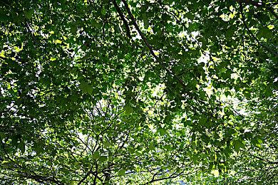 印度决定对游戏氪金征收28%税 或打击本国游戏产业